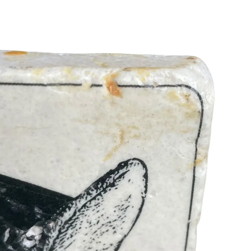 Anthropomorphic Animal Stone Tile Coasters Dog Cat Owl Rabbit Drawing Image READ